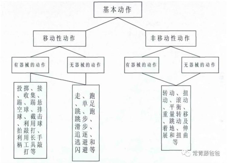 所有体育特长班，都离不开这几个基本功，而且在家就能锻炼