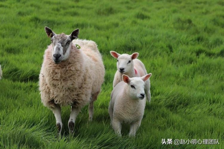 赵小明：儿童教育是割穷人韭菜吗？所有家长都要看，颠覆你的想象