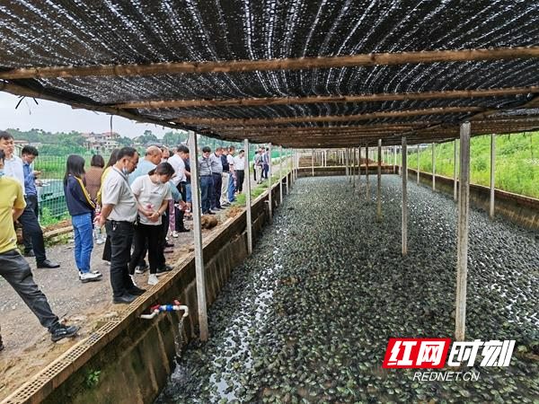 金洞：强化业务培训 助推乡村振兴