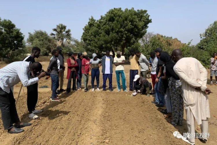 “汉语 农业技术培训”助力塞内加尔农技人才培养