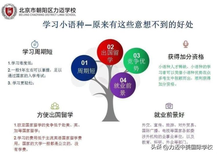 力迈小语种 多种人生 | 2022-2023学年第一学期小语种课程教学展示