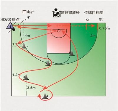 中考体育选篮球，如何学习才有效？