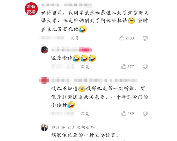 你以为的小语种专业：高端、大气、同声传译，真实的小语种：额