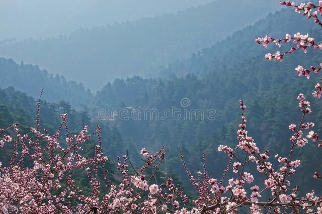 小说：蔓草菁菁长（第六章：电脑培训）