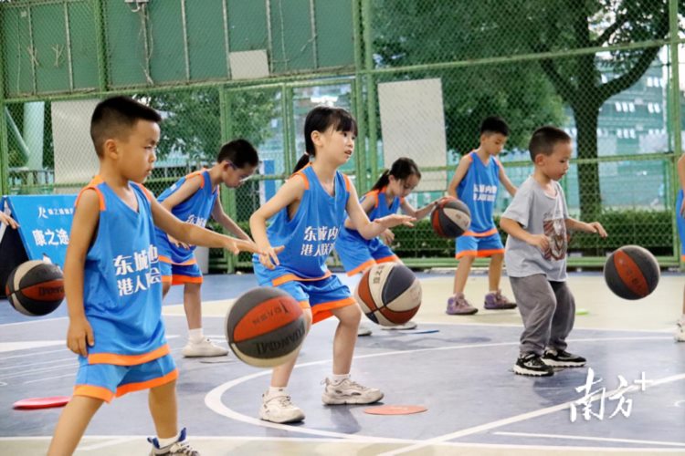 篮球城市显少年“引力”！东莞港澳少年积极参与篮球营