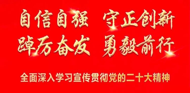 行而不辍 履践致远——武威市教育局组织开展高中英语新教材培训研讨活动