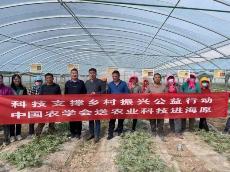 “科技支撑乡村振兴公益行动——中国农学会送农业科技进海原”西甜瓜产业培训成功举办
