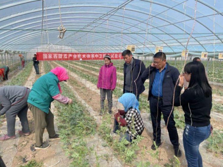 “科技支撑乡村振兴公益行动——中国农学会送农业科技进海原”西甜瓜产业培训成功举办