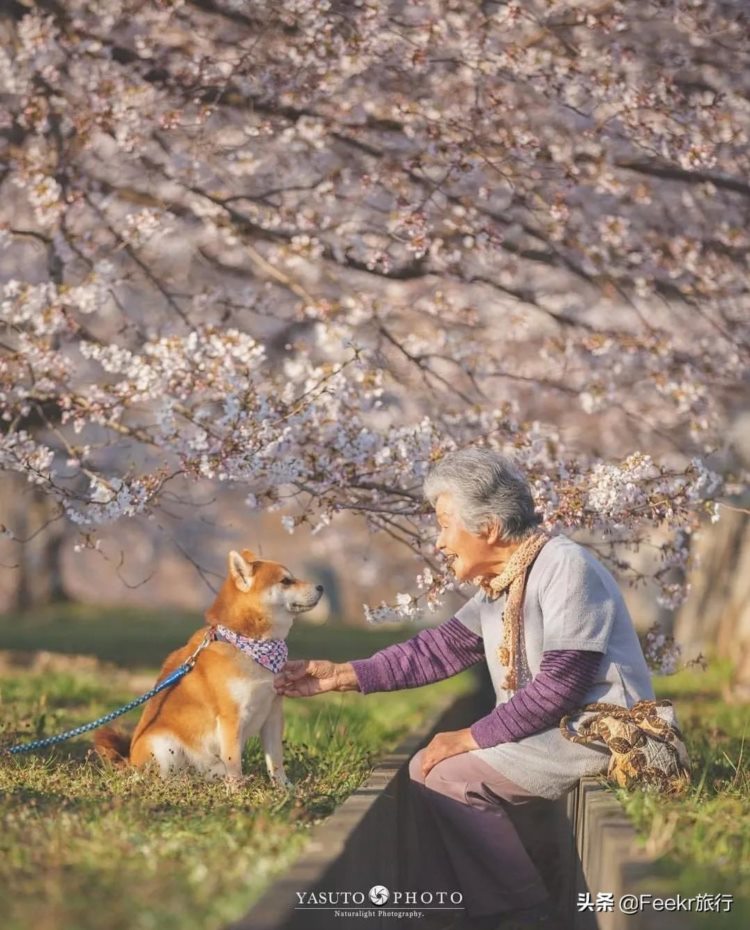 安妮·海瑟薇近照曝光，网友惊呼还我公主！