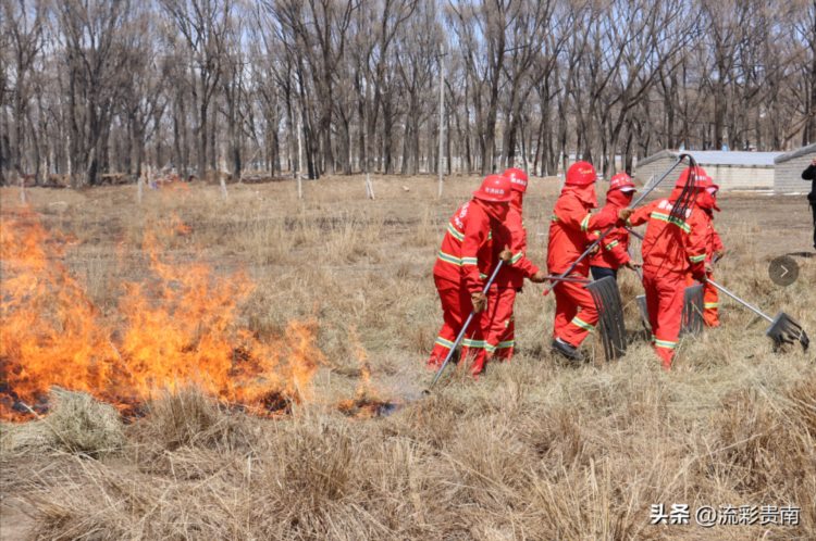 【安全生产】贵南县举办2022年度生态管护员专业技能培训提升及森林草原防火演练培训