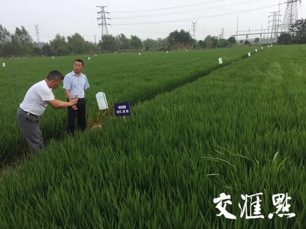 理论学习 现场教学，兴化大垛举办高素质农民培训班