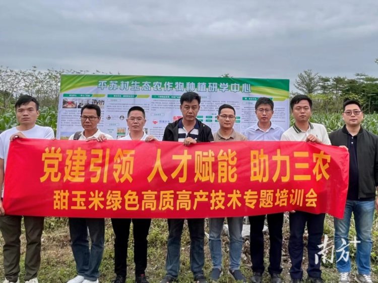 揭阳市人社局联合南溪镇党委举办玉米种植专项培训
