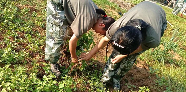 阳光欢乐汇暑期特训营开营啦，45天“封闭式”训练让少年加速蜕变