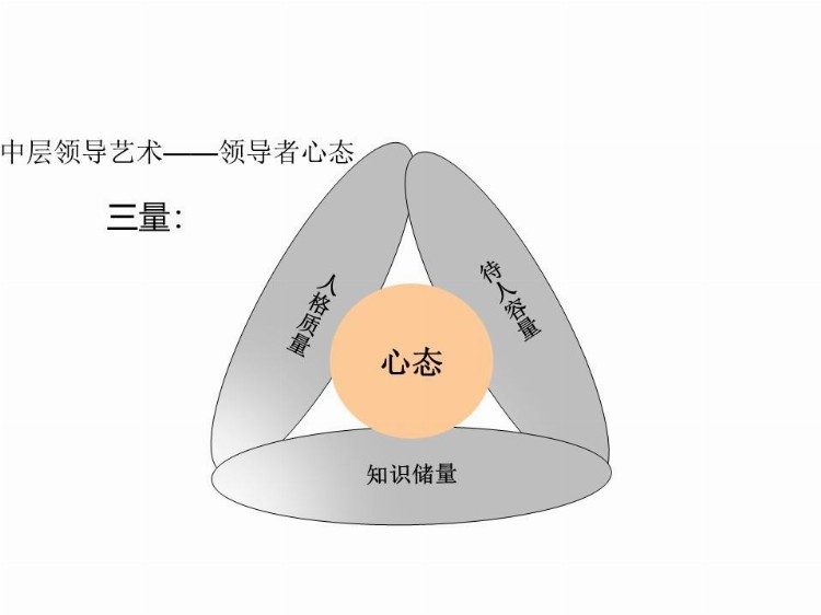 企管知识：中层管理人员领导力培养-培训资料