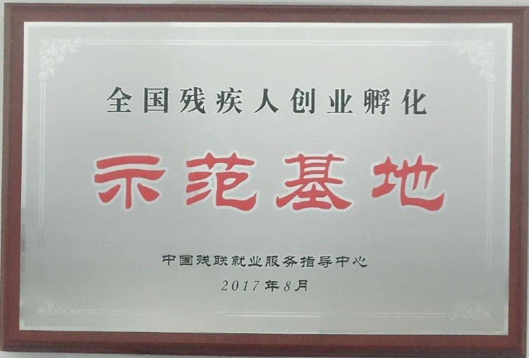 2年免费办公、定向培训、落实各项补贴……残疾人创业看这里