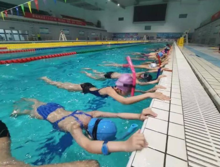 游出欢乐，泳出健康！山东省体育中心暑期游泳培训班等你来