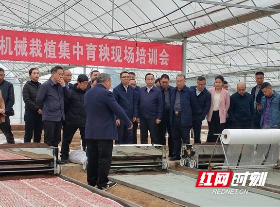 凤凰：举办湖南省武陵山区水稻机械栽植现场培训会