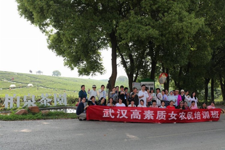 田垄上的巾帼也能撑起半边天，武汉举办高素质女农民培训班