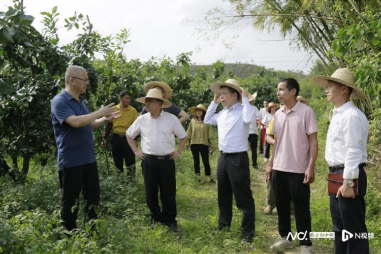 福城街道驻蓝塘镇帮扶工作队开展柑橘种植技术培训活动