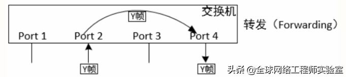 0基础入门网络工程师，局域网交换机基础，ensp软件，弱电工程师