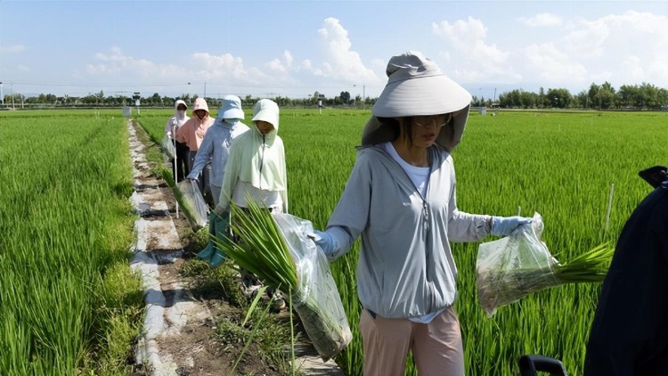 2022年全国科技小院研究生教育实践培训落幕