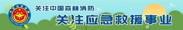 科学精准施救：云南省森林消防总队开展应急医学救援常识网上培训