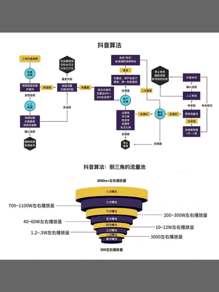 短视频培训课程有哪些