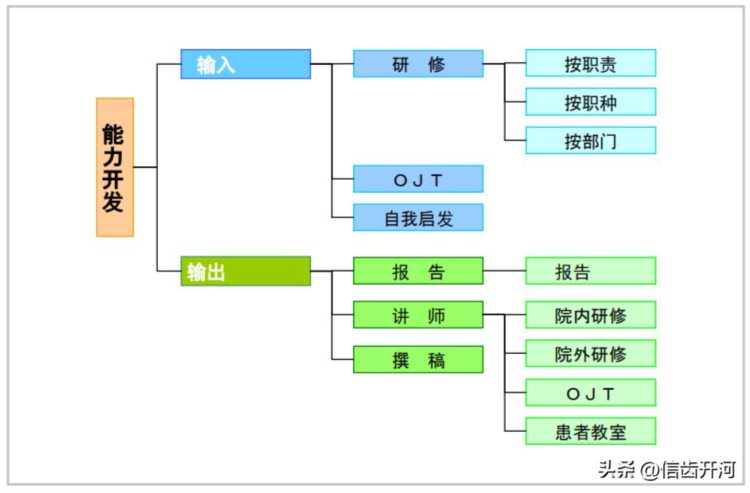 人才培养