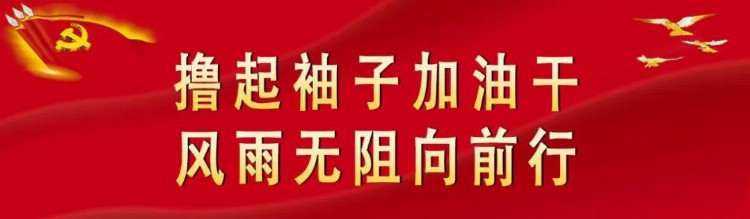 新乐市组织召开城市体检与更新培训暨《新乐市城市自体检报告》、自体检平台建设专家评审会