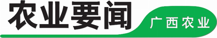 提升能力 服务农村 广西桂果果公司召开运营团队业务能力提升培训会
