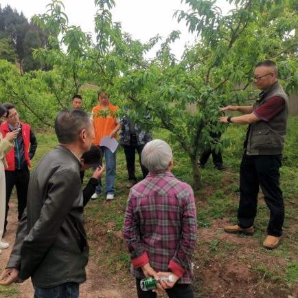 干货满满！龙泉驿区开展残疾人实用技术培训