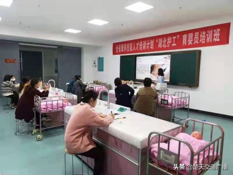 解康护产业燃眉急 培养老育幼主力军 三峡职院启动“湖北护工”养老护理员、育婴员首期培训