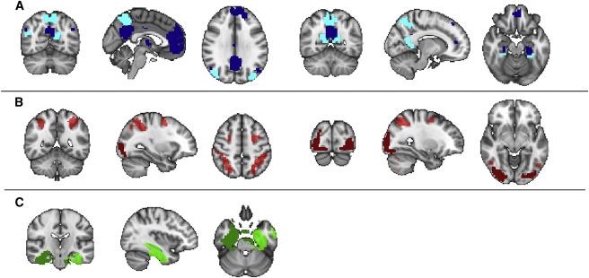 经过科学证明了的记忆法让大脑能够拥有超级记忆力