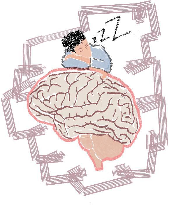 美媒：改善记忆的10种“大脑体操”