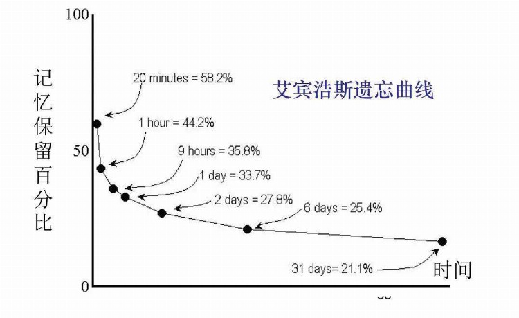 当我学会记忆力提升“黄金五步法”，孩子的学习效率提升一大截