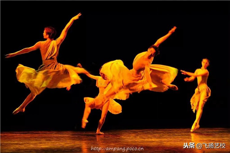 2019年南京体育学院艺术类表演和舞蹈表演专业招生简章