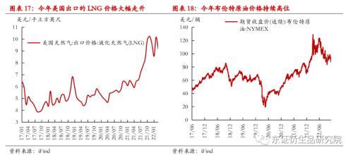 纸浆年度报告：进口回升有望，估值下行可期