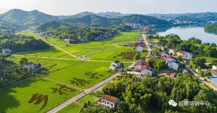 乡村振兴培训心得