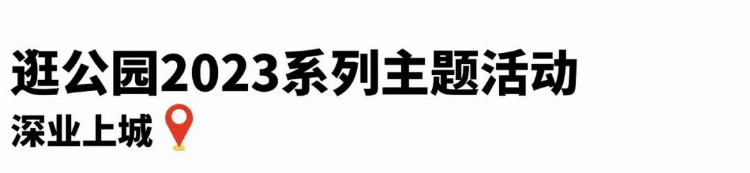 深圳最大户外咖啡市集要来了！打卡攻略→