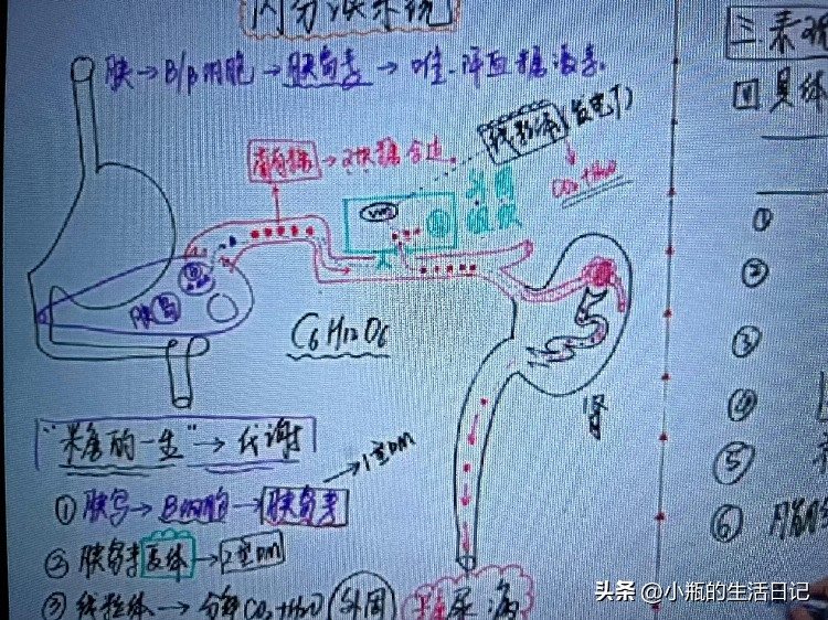 住院医师规范化培训？有必要吗