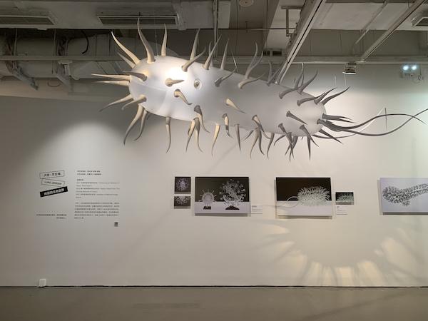 当科学与艺术相遇，北京新展“想象另一种引力”