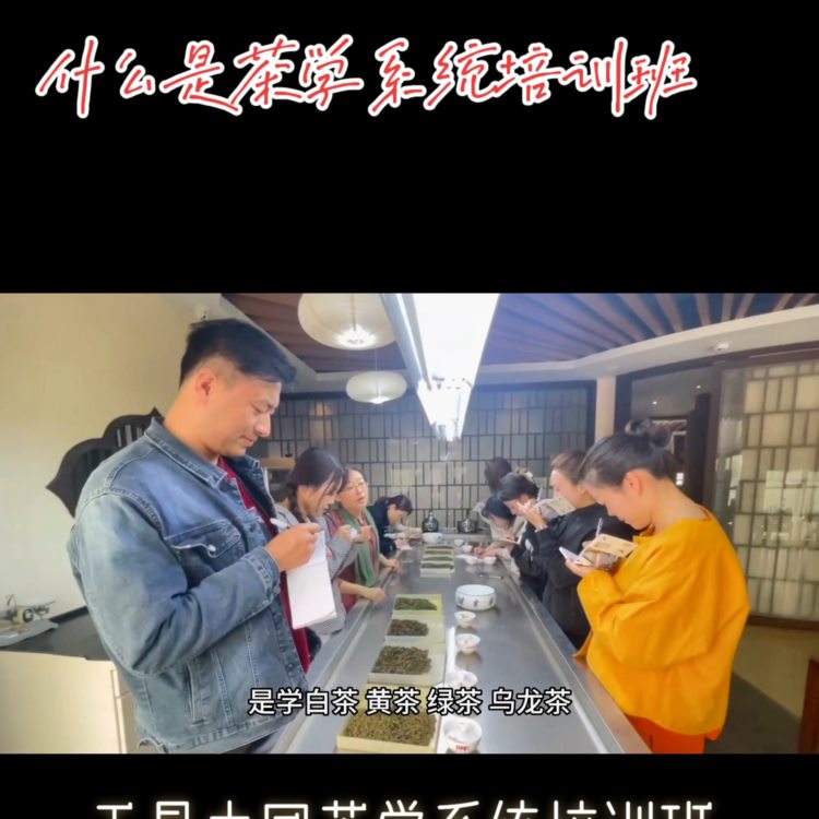 茶学系统培训班才是真正学茶学茶艺学茶道的培训班。@DO...