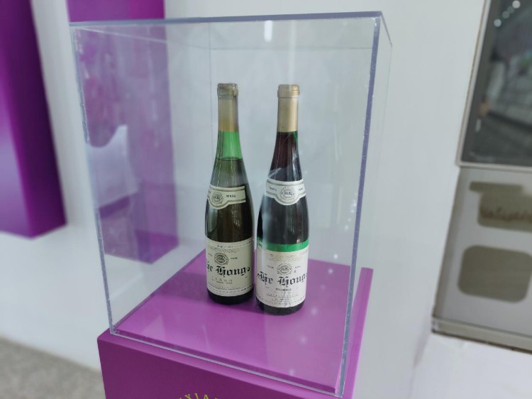 峥嵘十年｜宁夏葡萄酒的“野心”：打造产值千亿世界一流产区
