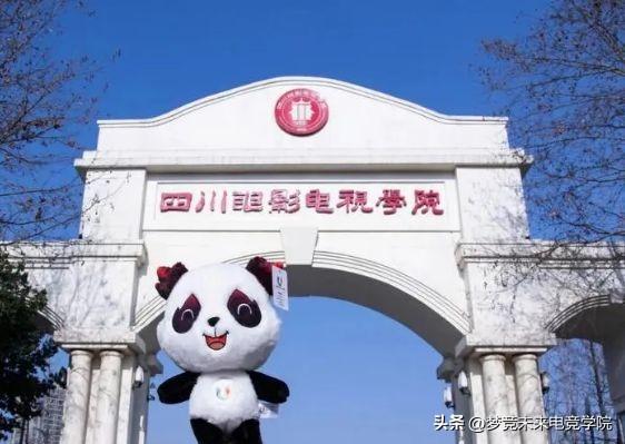 中国正规电竞游戏学校有哪些