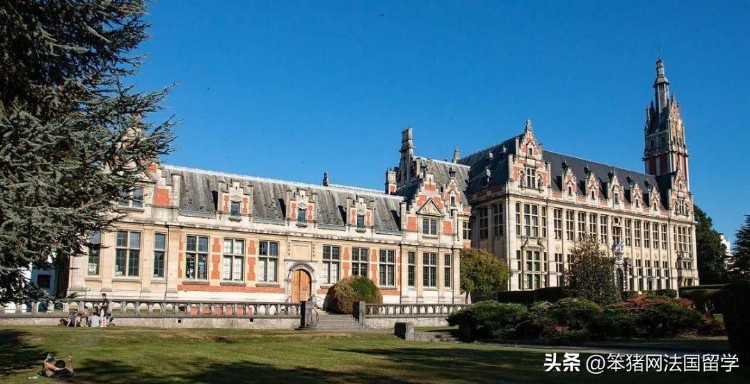 笨猪欧洲 | 比利时留学：多语区国家、免费教育、开设英语授课项目