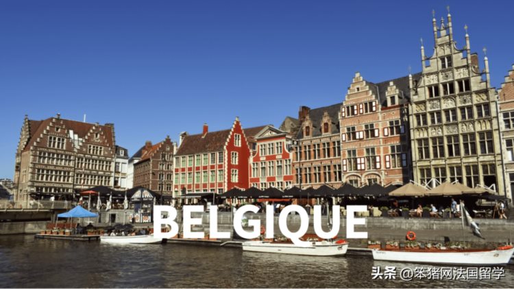 笨猪欧洲 | 比利时留学：多语区国家、免费教育、开设英语授课项目