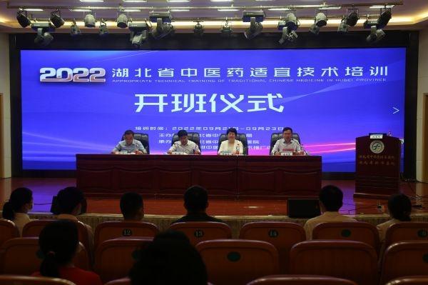 1.3万收看6.48万点赞，湖北省中医药适宜技术培训受欢迎