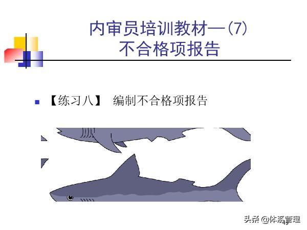 「体系管理」内审员培训教材-审核基本知识