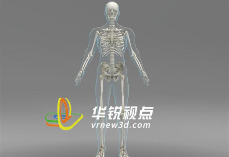 医学手术VR元宇宙虚拟交互培训能有效提高学生实践和理解能力