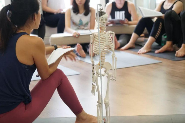 新加坡哪里可以学习专业瑜伽教练培训？师资费用怎么样？